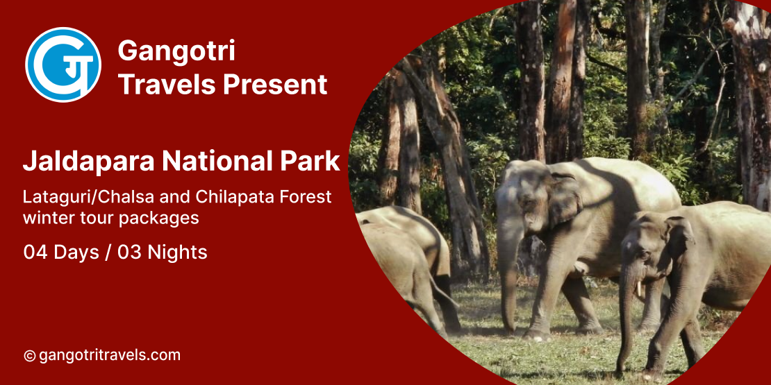 Jaldapara National Park- Chilapata Jungle Safari Tour Package- 3 Nights/4 Days