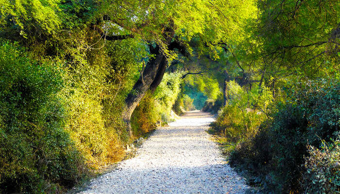 Keoladeo National Park