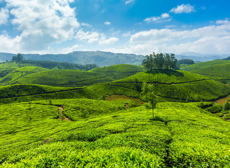 Munnar