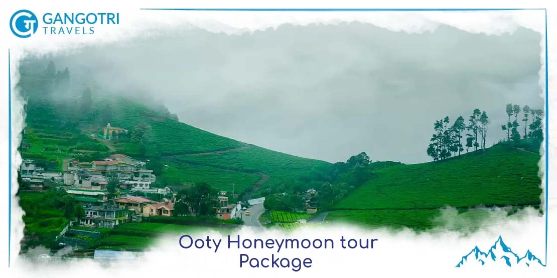 Book Ooty Honeymoon Package | Explore Ooty Honeymoon Places - Gangotri Travels