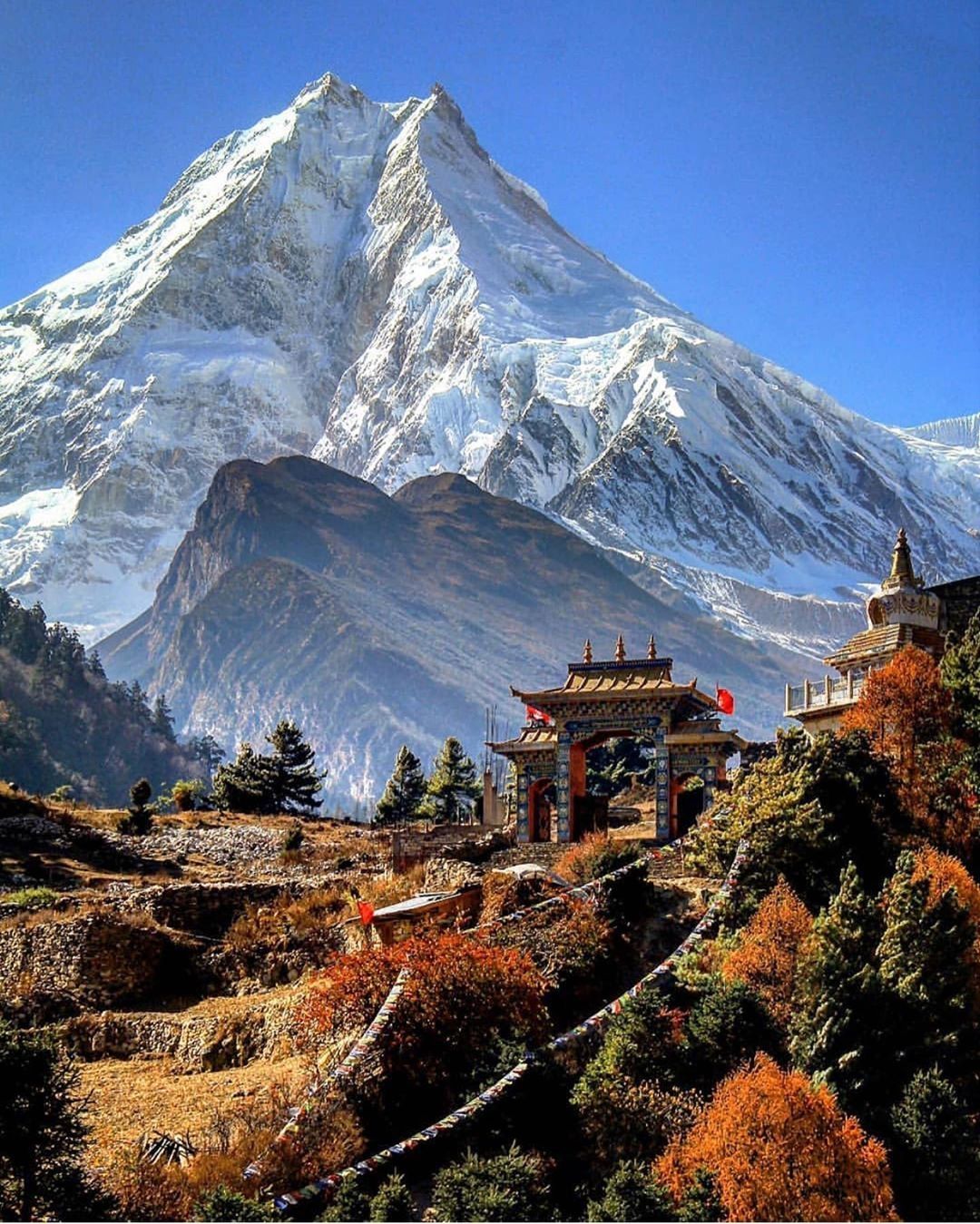 Chardham yatra